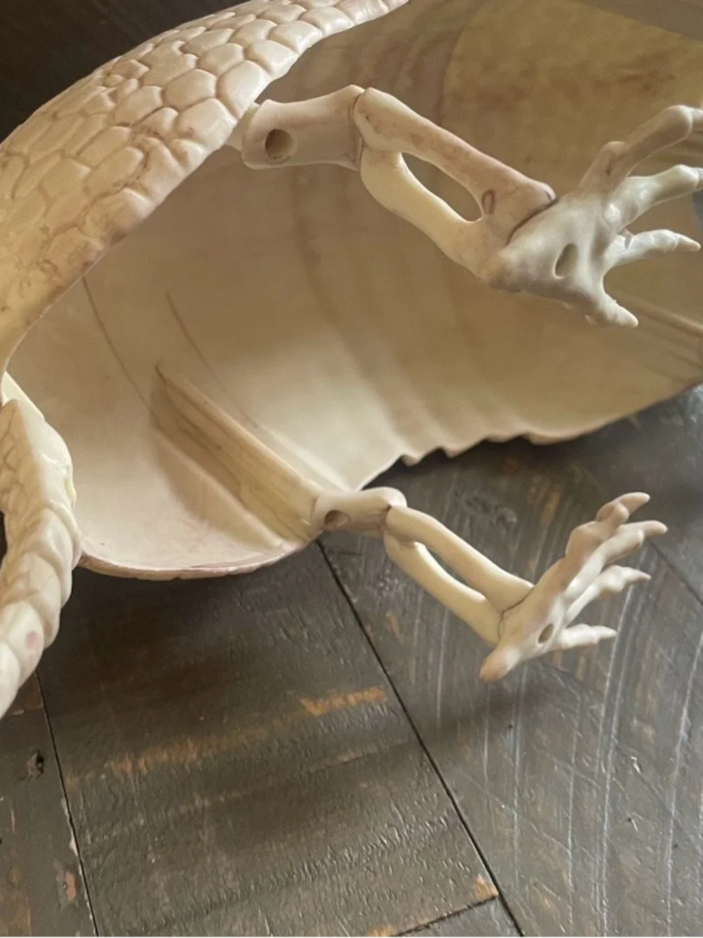 Beige Armadillo Reptile Habitat Decoration - Realistic Shell Accent- faux